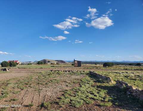 21 County Road 5080, Concho, AZ 85924