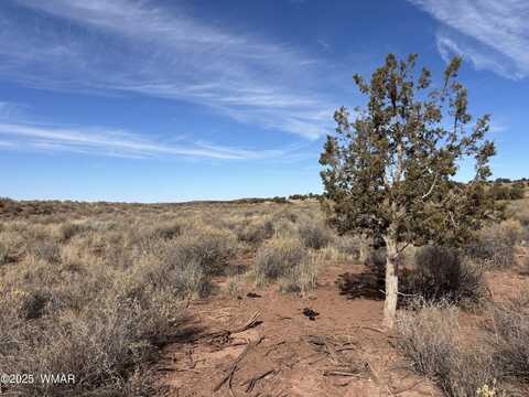 9659 E Juniper Berry Trail, Snowflake, AZ 85937