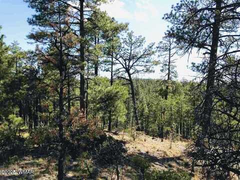 2281 S Bristlecone Drive, Show Low, AZ 85901
