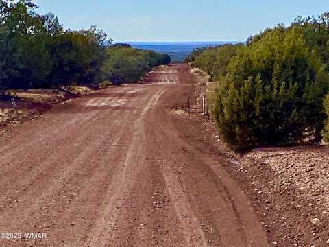 Tbd CR 8271 LOT 10, Concho, AZ 85924