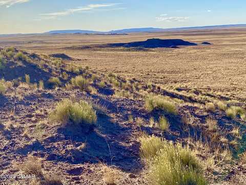 Carrizo Ranch Lot 297 41.17 Acres, Saint Johns, AZ 85936