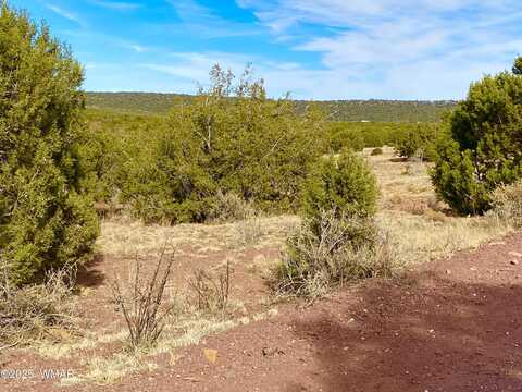 Tbd Co Rd 8269 Lots 150 & 151, Concho, AZ 85924