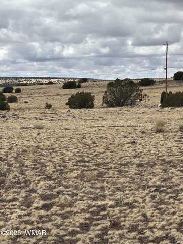63 County Rd 5103, Concho, AZ 85924