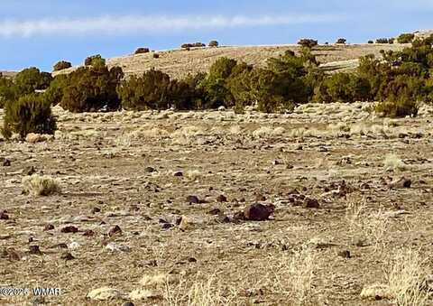 Tbd CR 5201, Concho, AZ 85924