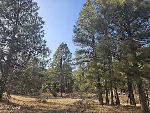 528 & 530 Summit Drive, Show Low, AZ 85901