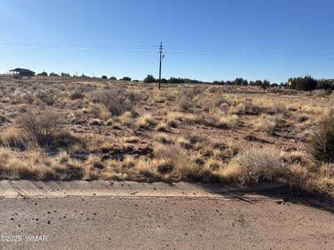 Lot 154 W Wedding Trail, Snowflake, AZ 85937