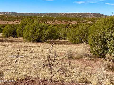 Tbd Co Rd 8269 Lot 151, Concho, AZ 85924