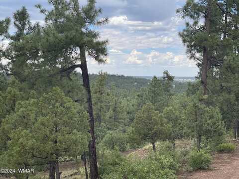 4501 S White Mountain Road, Show Low, AZ 85901