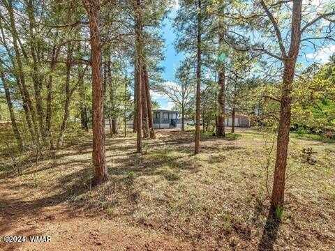4072 Gold Dust Trail, Show Low, AZ 85901