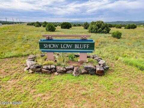 1080 S Lorenzo Sitgreaves Drive, Show Low, AZ 85901
