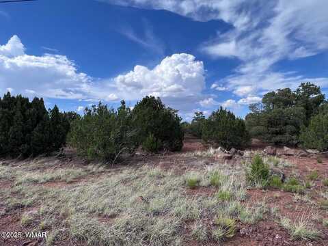 81 CR 8114 (Grant Dr.), Concho, AZ 85924