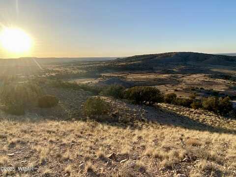 Tbd Co Rd 5062 2.39 Acres, Concho, AZ 85924