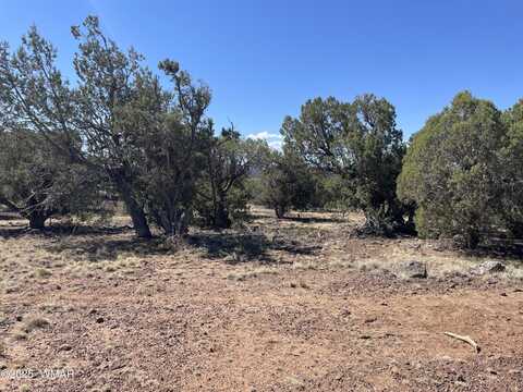 54 Schultz Road, Concho, AZ 85924