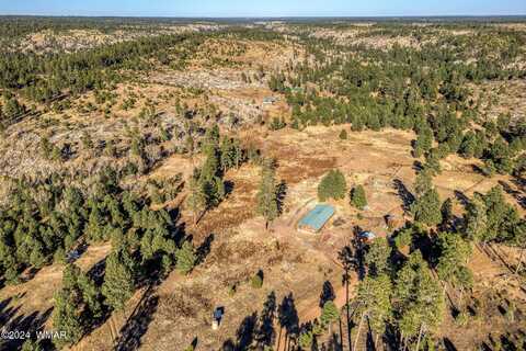 1528 Black Canyon Road, Heber, AZ 85928