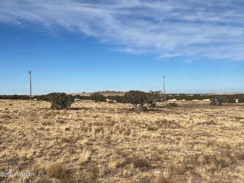 Tbd CR 5139, Concho, AZ 85924