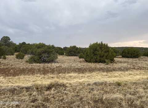 1 County Road 3047, Concho, AZ 85924