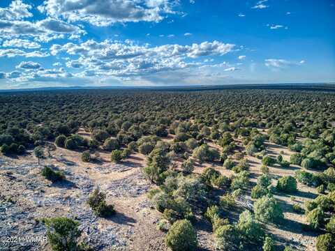 Tbd Rainbow Trout Drive, Show Low, AZ 85901