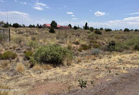 687 N Snowflake Hts Boulevard, Snowflake, AZ 85937