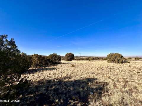 Tbd County Rd 5168 (Sloan), Concho, AZ 85924