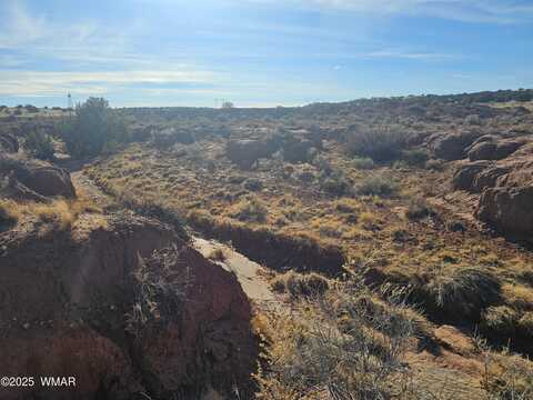 Tbd Lot 236 N CR 9234, Concho, AZ 85924