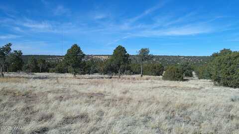 18 County Road 8021, Concho, AZ 85924
