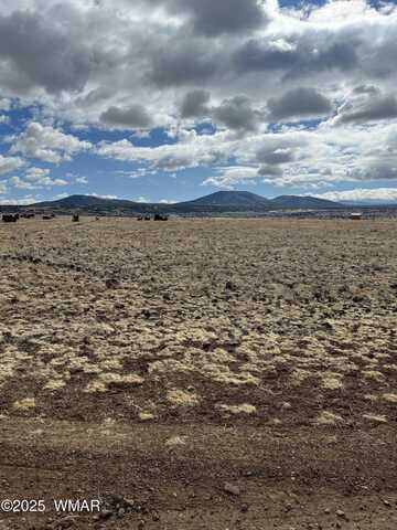 Tbd N3540 Lot 500, Concho, AZ 85924