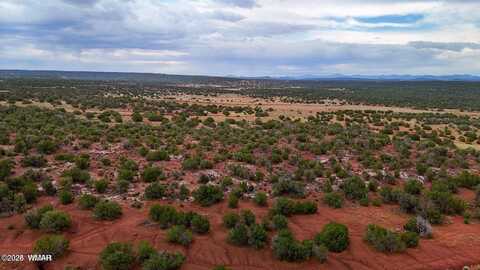9780 Texas Ln 39.89 Acres, Show Low, AZ 85901