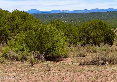 9780 Texas Ln 39.89 Acres, Show Low, AZ 85901