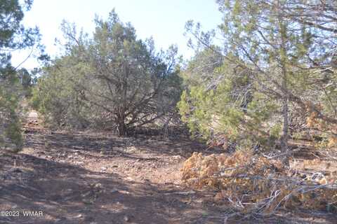 1885 Daggs Place, Show Low, AZ 85901