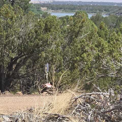 1885 Daggs Place, Show Low, AZ 85901
