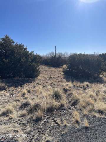 74 Dawn Lane, Concho, AZ 85924