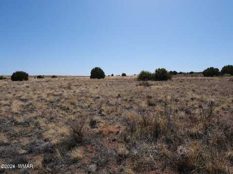 5447 State Route 277, Snowflake, AZ 85937