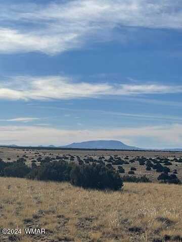 Tbd Elk Valley Ranches #77, Saint Johns, AZ 85936