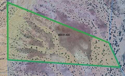 Lot 423 Woodland Valley Ranch, Saint Johns, AZ 85936