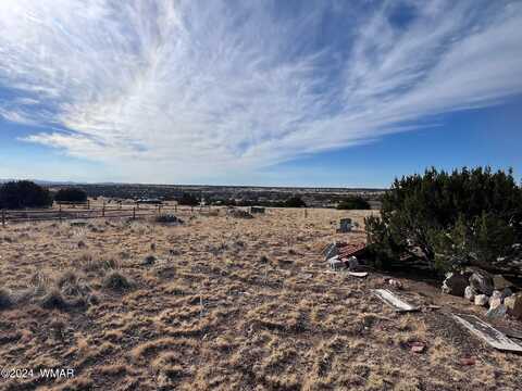 22 5081 (Palmer Dr.), Concho, AZ 85924