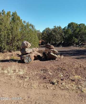 1783 Bemus Place, Show Low, AZ 85901