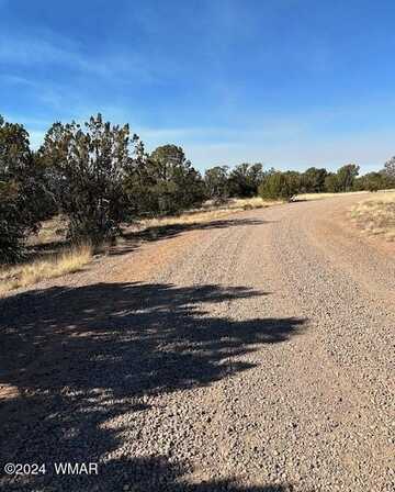 8314 Silver Creek Drive, Show Low, AZ 85901