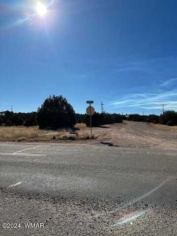8419 Silver Creek Drive, Show Low, AZ 85901