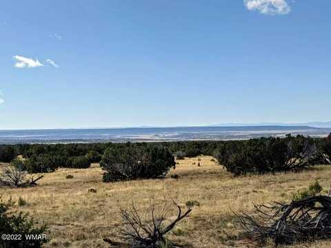 Lot 554 Woodland Valley Ranch, Saint Johns, AZ 85936