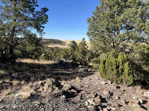 Tbd S Skyline Drive, Eagar, AZ 85925