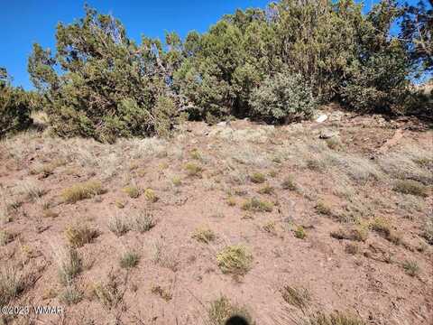 2147 Mallory Drive, Show Low, AZ 85901