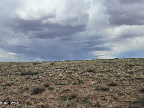 Tbd S Tovar Avenue, Holbrook, AZ 86025