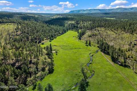 8523 WILTBANK RD, Alpine, AZ 85920