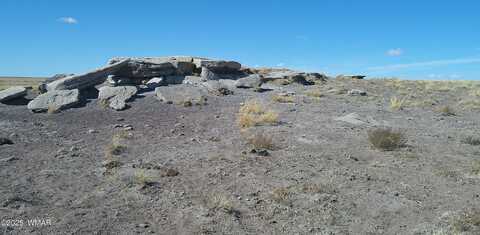 Tbd River Meadows Ranch, Concho, AZ 85924