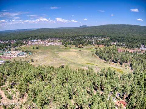 00.00 HWY 260 & PENROD LANE, Pinetop, AZ 85935