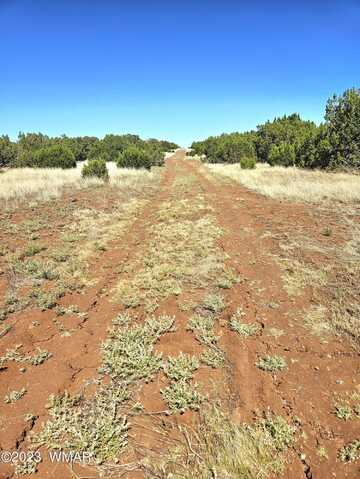 20 Co Road, Concho, AZ 85924