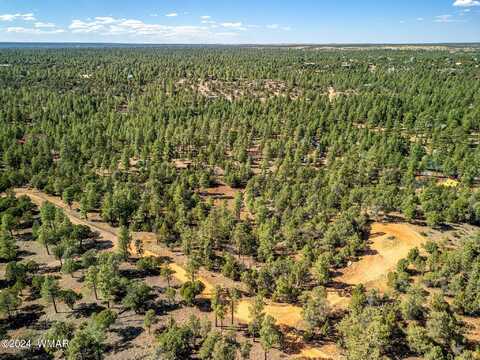 2306 Thunderbird Circle, Overgaard, AZ 85933