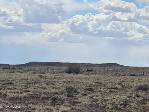 Lot 76 Shooting Star Rd, Holbrook, AZ 86025
