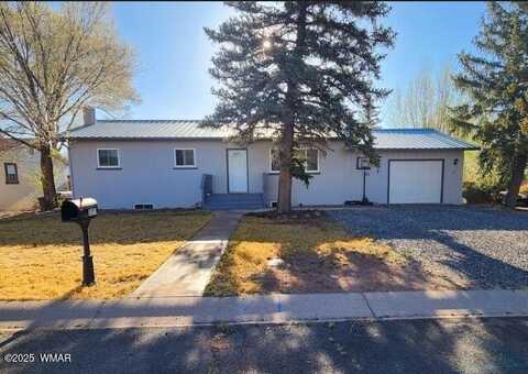 121 N Harmony Ln, Springerville, AZ 85938