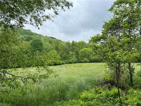 000 White Cloud Rd, Allegheny Twp - WML, PA 15656